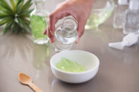 Aloe Vera - Image 4