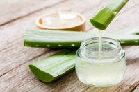 Aloe Vera - Image 5