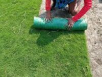 Mexican Grass Natural Mat
