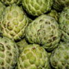 Custard Apple (Sitaphal)