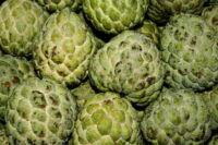 Custard Apple (Sitaphal)