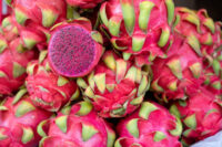 Dragon Fruit