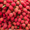 Litchi (Hybrid)