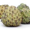 Custard Apple (Sitaphal)