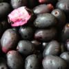 Jamun (Black Plum)