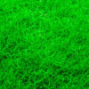 Selection No.1 (Natural) Doob Grass Carpet Rolls