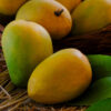 Mango (Alphonso)