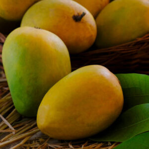 Mango (Alphonso)