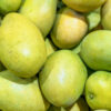 Mango (Alphonso)