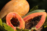 Papaya (Taiwan Red Lady)