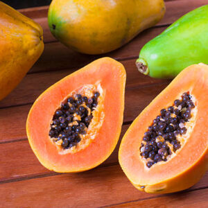 Papaya (Taiwan Red Lady)