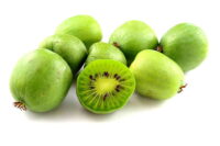 Kiwi (Hardy)