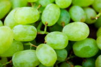 Grapes (Seedless)